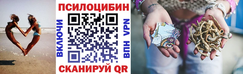 Галлюциногенные грибы Psilocybine cubensis  где продают   Пойковский 